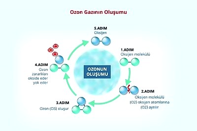 ozonla dezenfeksiyon